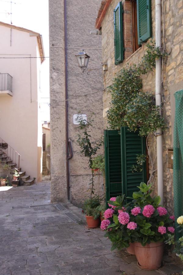 Antica Abitazione Con Vista Montagna Casa Norma Apartment Seggiano Luaran gambar