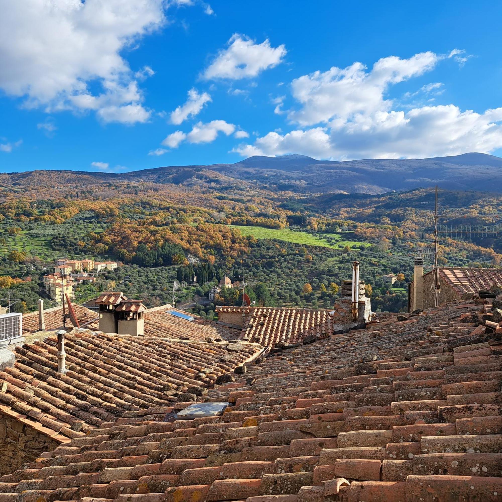 Antica Abitazione Con Vista Montagna Casa Norma Apartment Seggiano Luaran gambar