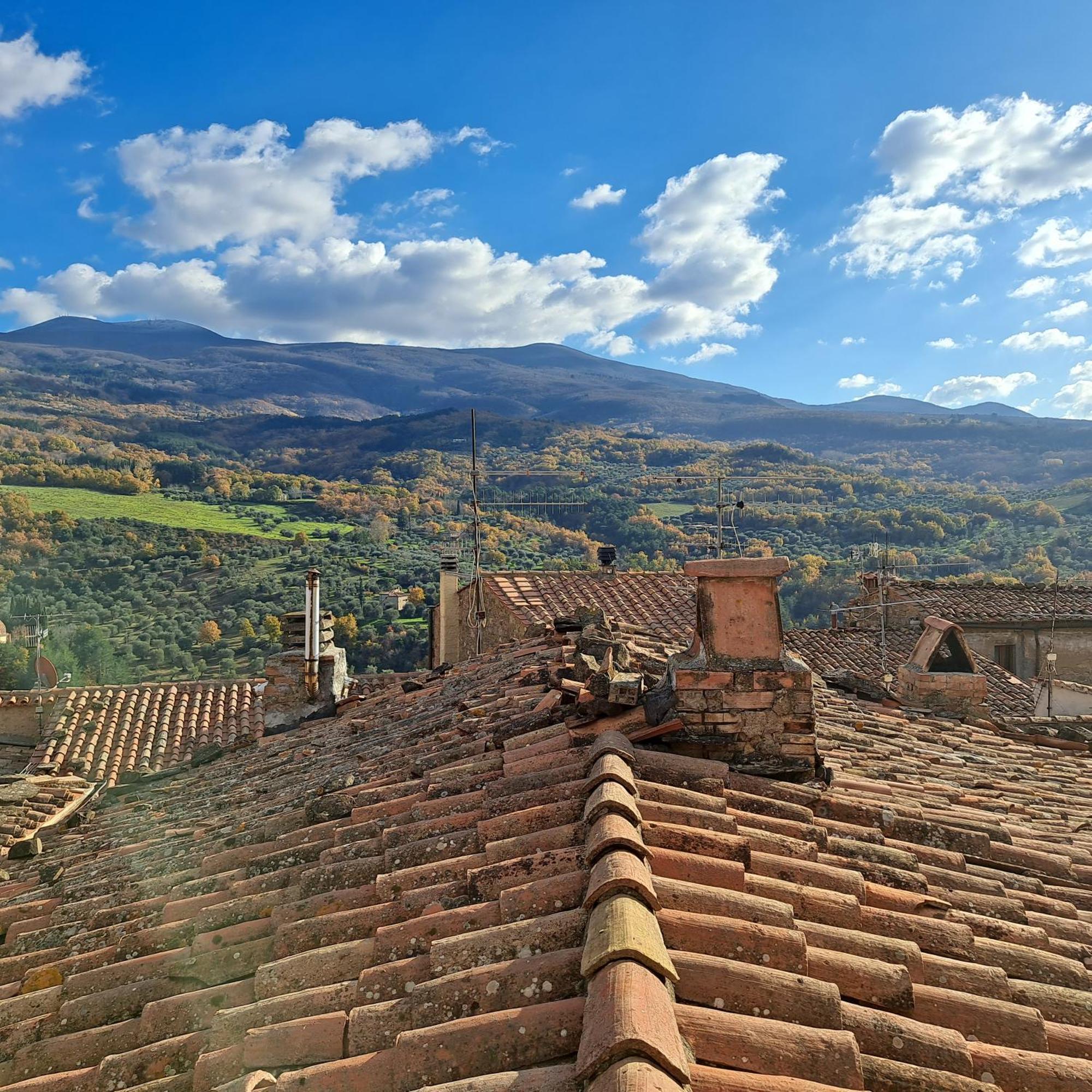 Antica Abitazione Con Vista Montagna Casa Norma Apartment Seggiano Luaran gambar